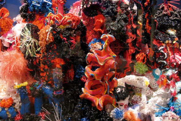 The interactive crocheted coral reef.