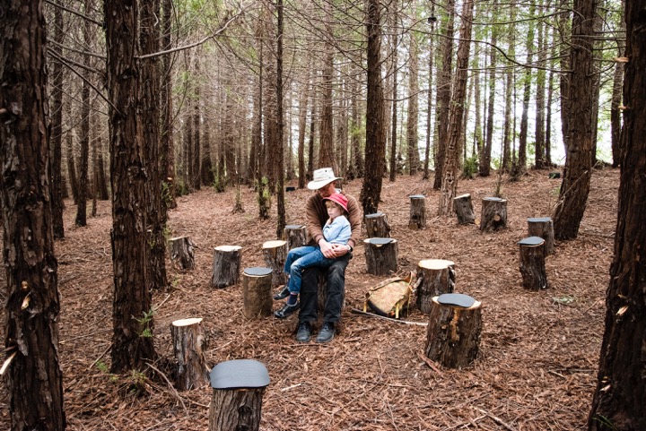 A person holds a child while sitting on a stump in a wooded clearing.