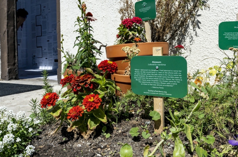 Flowers planted in a garden bed and in pots with green signs about the incarcerated women who chose them.