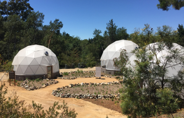 Geodesic domes sit among paths in the Future Garden.