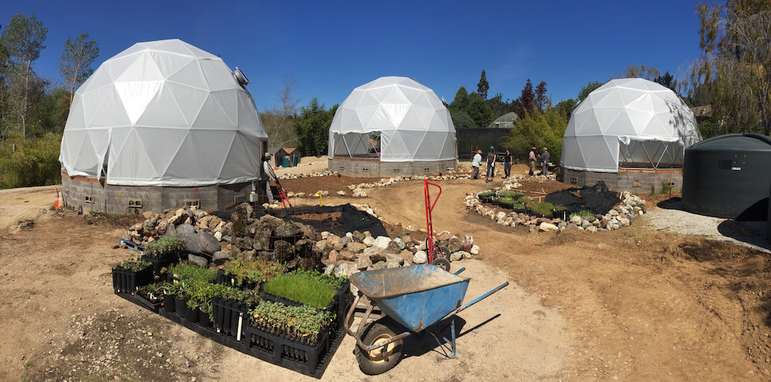 3 geodesic domes and a wheelbarrow with plants