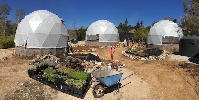 3 geodesic domes and a wheelbarrow with plants