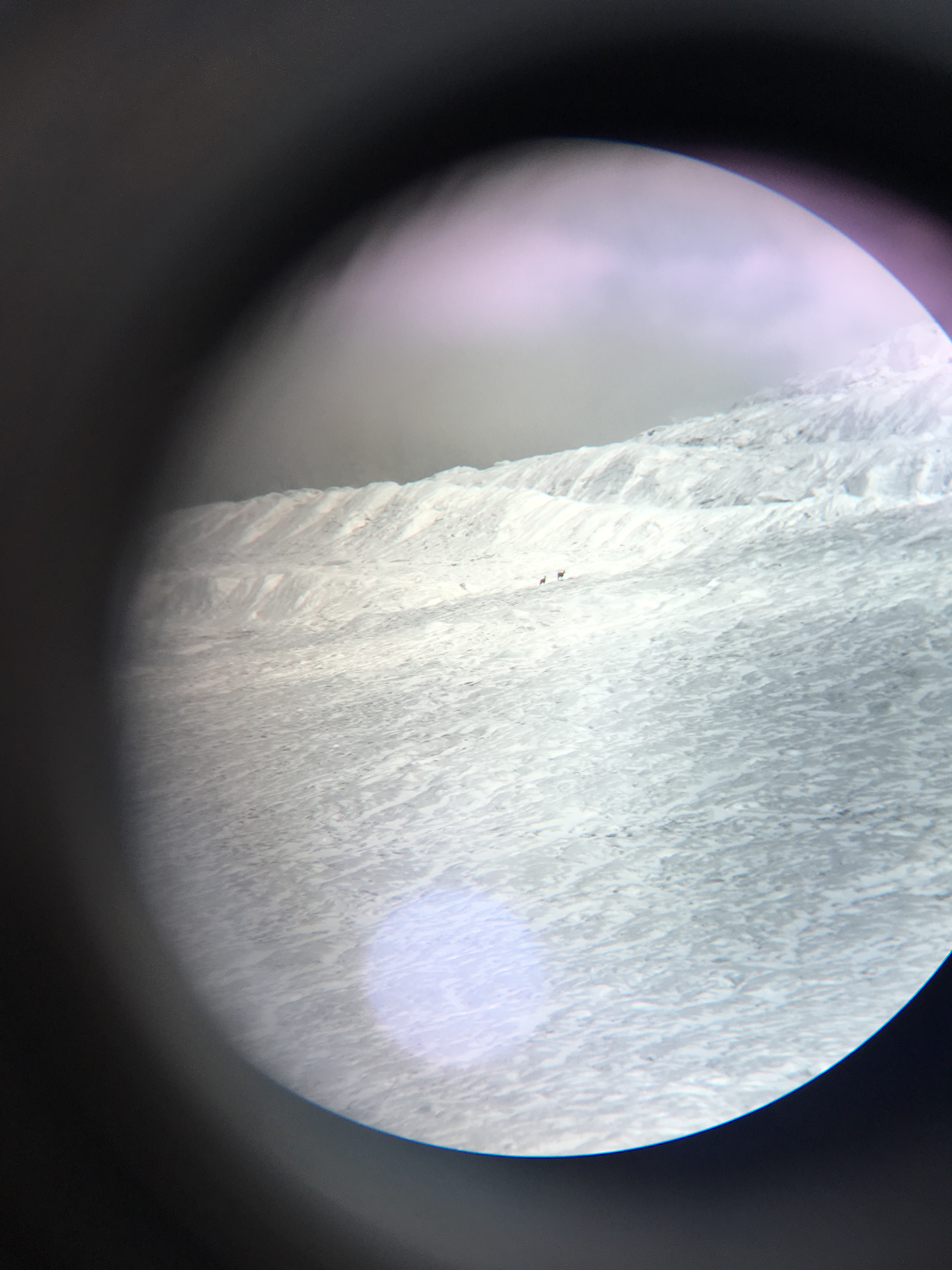 A snowscape is viewed through an eyepiece.