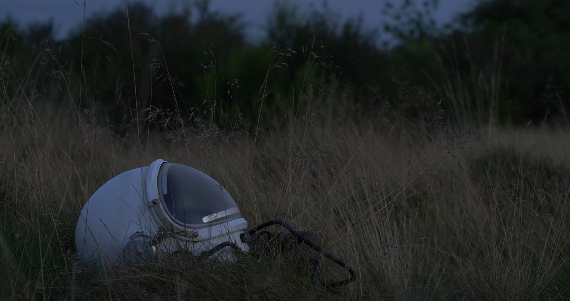 A space helmet among the weeds.