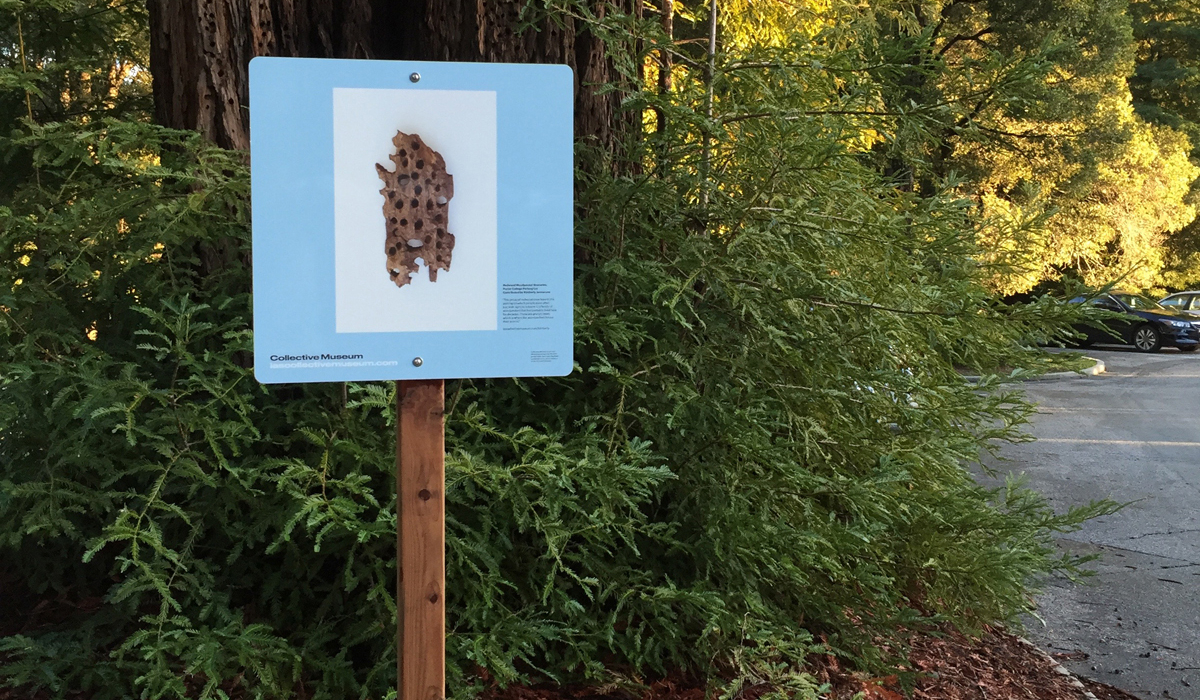 A sign showing pecked wood featured on the Collective Museum walking tour.