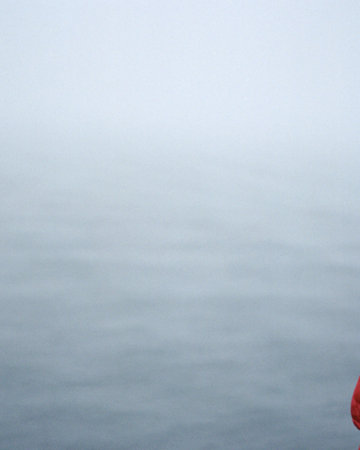 A person in a red jacket gazes out at a misty seascape.