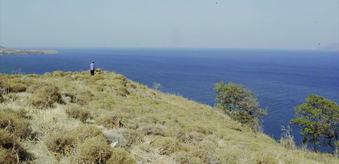 A person stands on a hillside overlooking the sea.