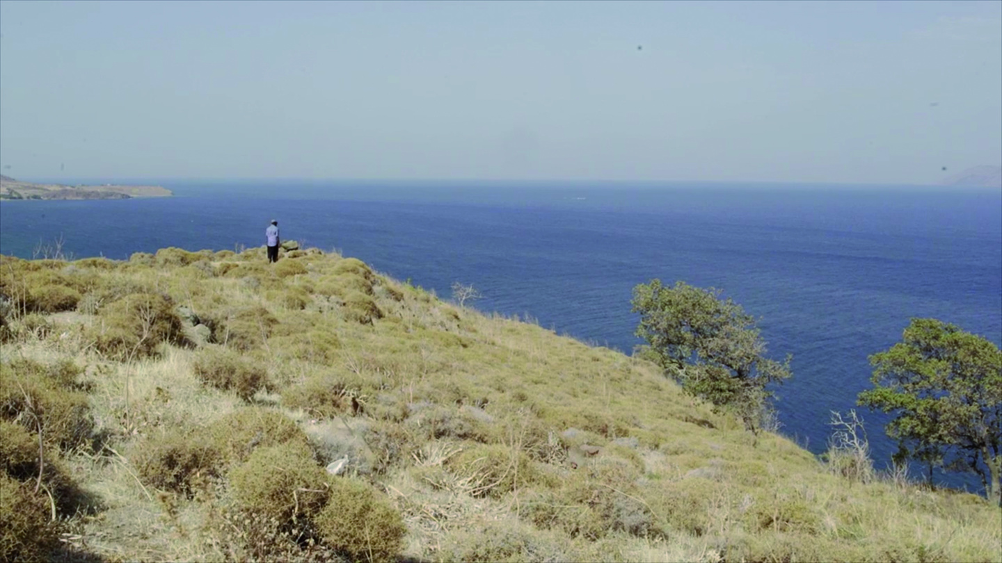 A person stands on a hillside overlooking the sea.