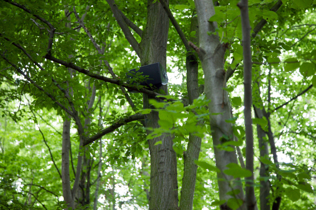 A speaker sits among the trees in a forest.