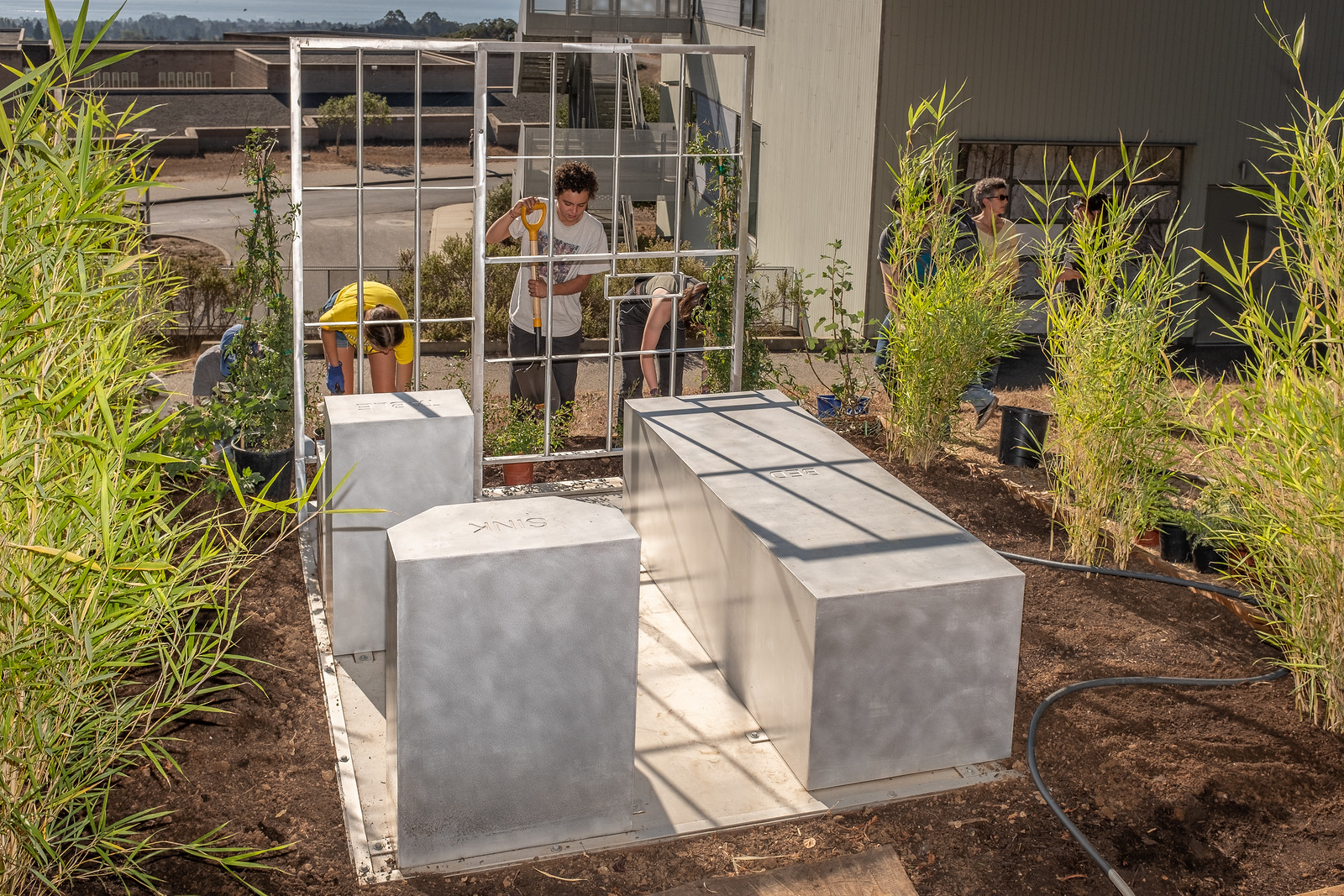 A garden built to the size specifications of a solitary prison cell.