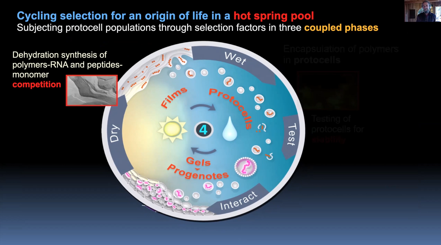 An infographic displaying the origin of life in a hot spring pool.