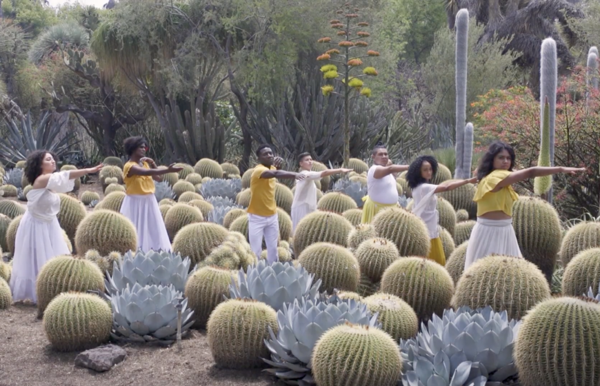 Image features dancers amidst plants.