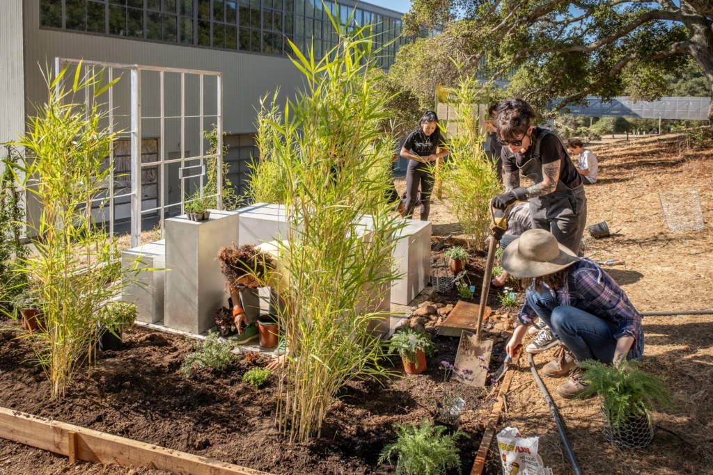 People dig with shovels to plant flowers around a sculpture of a solitary confinement cell.