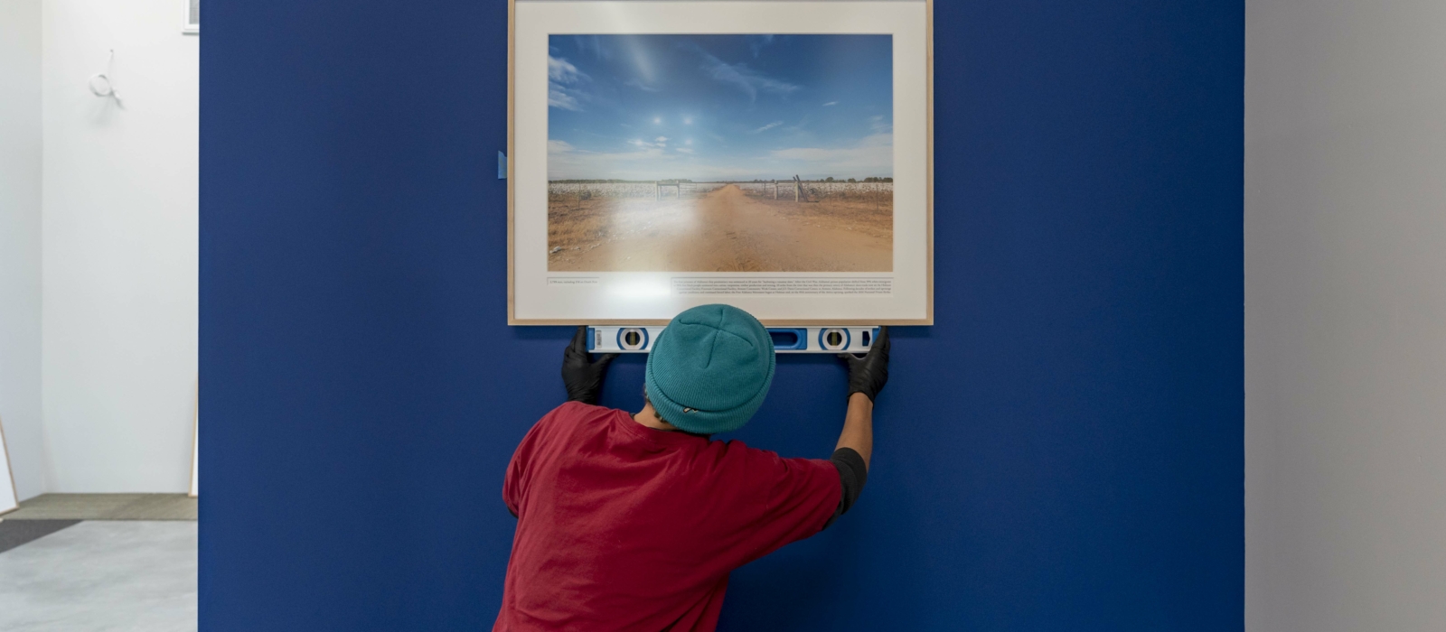 Person with their back to the camera hanging a framed photograph on a blue wall