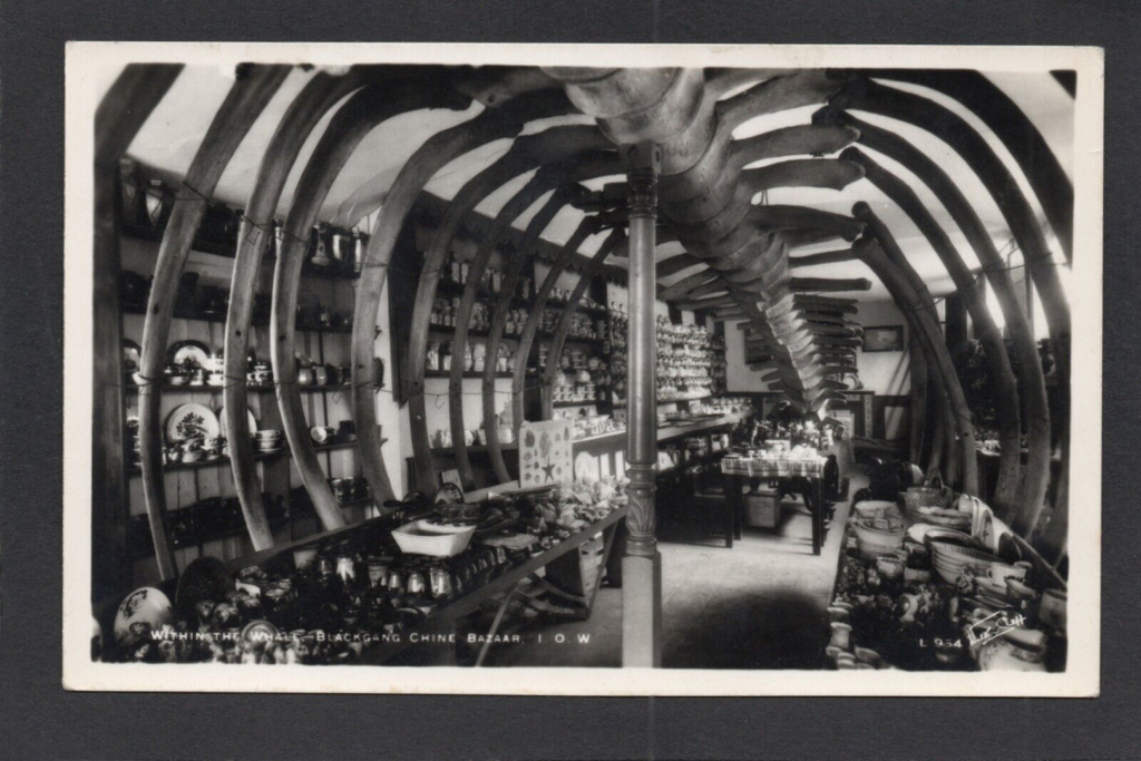 Black and white photo of a whale skeleton in a room full of porcelain 