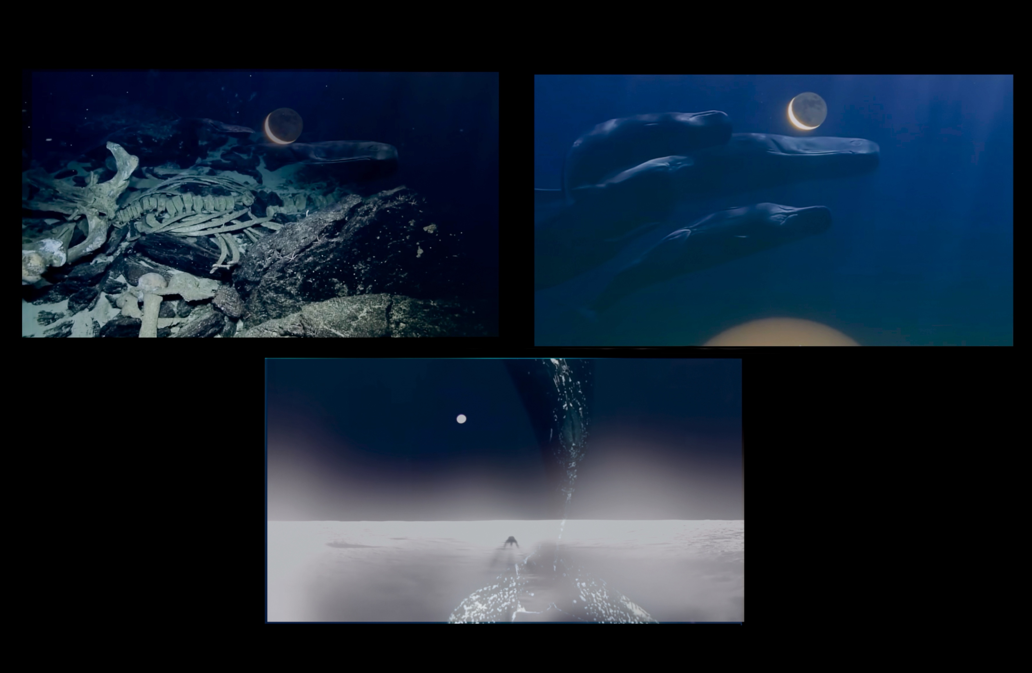 Stills from Mia Rollow's Moontide Divination, 2025.