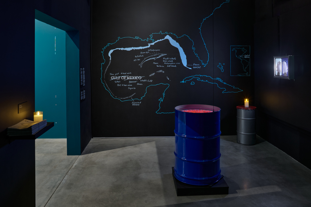 Installation view of Weather and the Whale.