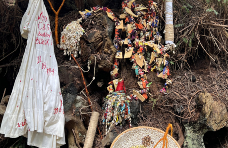 Image of art installation in the redwoods.