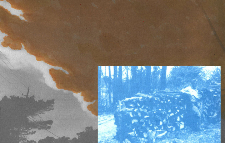Image of smoke overlaid with a cyanotype of a person and a pile of logs.