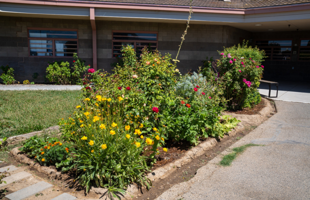Photo of garden at CCWF