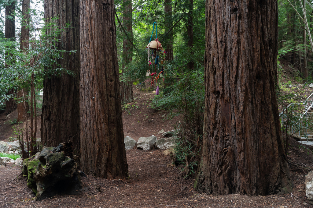 Photo of Gina Athena Ulysse's exhibition at the UCSC Quarry