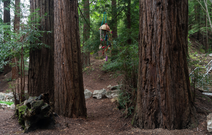 Photo of Gina Athena Ulysse's exhibition at the UCSC Quarry